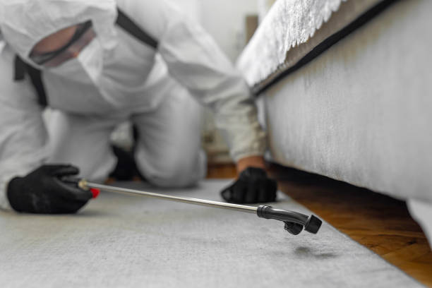 Professional Wasp Control technician working in South Gull Lake, MI