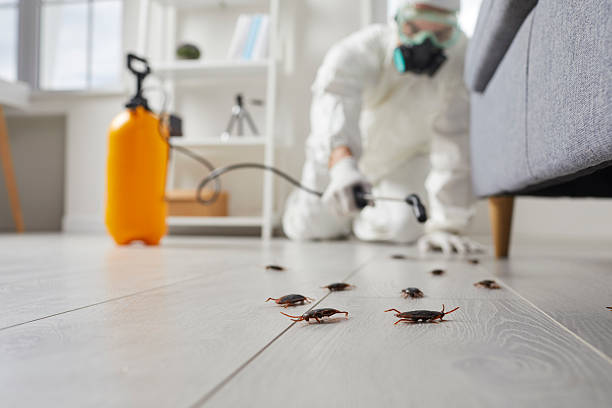Trusted Rodent Control service in South Gull Lake, MI - Nex Pest Control